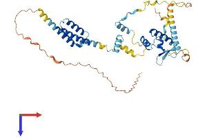 AlphaFold protein structure predicition of Human Recombinant NSMCE4A Protein, UniprotID Q9NXX6