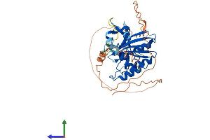 AlphaFold protein structure predicition of Mouse Recombinant Apobec4 Protein, UniprotID Q497M3