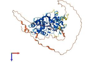 AlphaFold protein structure predicition of Human Recombinant PRKAG3 Protein, UniprotID Q9UGI9