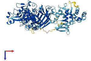 AlphaFold protein structure predicition of Human Recombinant CAPN12 Protein, UniprotID Q6ZSI9