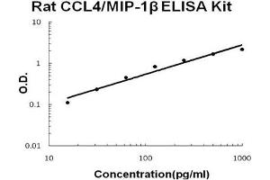 Rat CCL4/MIP-1 beta PicoKine ELISA Kit standard curve (CCL4 Kit ELISA)