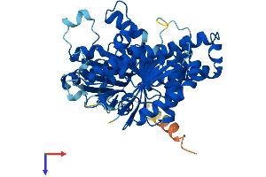 AlphaFold protein structure predicition of Mouse Recombinant Tubb3 Protein, UniprotID Q9ERD7