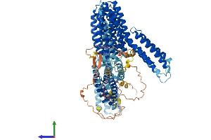 AlphaFold protein structure predicition of Mouse Recombinant Ctnna2 Protein, UniprotID Q61301