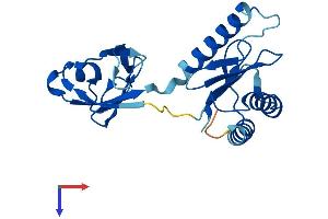 AlphaFold protein structure predicition of Human Recombinant TRAPPC4 Protein, UniprotID Q9Y296