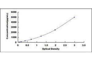 Cyclophilin B (PPIB) ELISA Kit