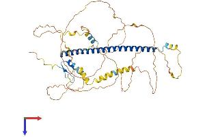 AlphaFold protein structure predicition of Human Recombinant CREB5 Protein, UniprotID Q02930