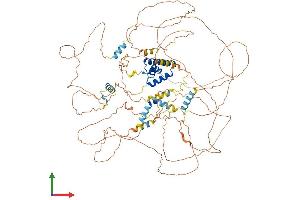 AlphaFold protein structure predicition of Mouse Recombinant Bbx Protein, UniprotID Q8VBW5