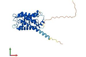 AlphaFold protein structure predicition of Human Recombinant AQP6 Protein, UniprotID Q13520