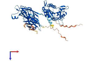 AlphaFold protein structure predicition of Human Recombinant CPNE5 Protein, UniprotID Q9HCH3