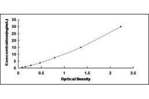 Complement Component 4 Binding Protein, beta (C4BPB) ELISA Kit