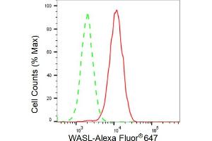 Flow cytometric analysis of WASL expression in HAP-1 cells using WASL antibody (ABIN7799576), 1:2,000). (Recombinant Neural Wiskott-Aldrich syndrome protein (WASL) anticorps)