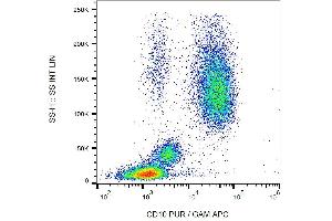 Surface staining of human peripheral blood cells with anti-CD10 (LT10) PE. (MME anticorps  (PE))