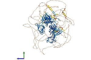 AlphaFold protein structure predicition of Human Recombinant MAGI1 Protein, UniprotID Q96QZ7