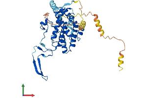 AlphaFold protein structure predicition of Mouse Recombinant Oscp1 Protein, UniprotID Q8BHW2