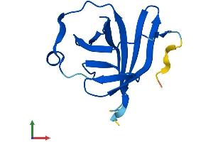 AlphaFold protein structure predicition of Human Recombinant TCL1A Protein, UniprotID P56279