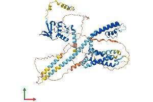 AlphaFold protein structure predicition of Mouse Recombinant Kcnd3 Protein, UniprotID Q9Z0V1