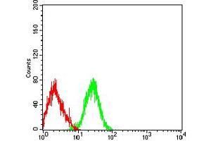 Flow cytometric analysis of HL-60 cells using CD42B mouse mAb (green) and negative control (red).