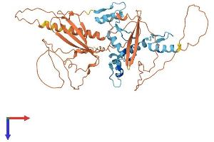 AlphaFold protein structure predicition of Human Recombinant ZNF410 Protein, UniprotID Q86VK4