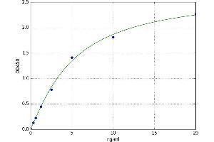 A typical standard curve