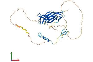 AlphaFold protein structure predicition of Human Recombinant EEIG1 Protein, UniprotID Q5T9C2
