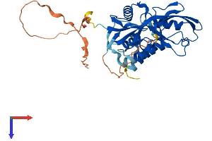 AlphaFold protein structure predicition of Mouse Recombinant Gipc1 Protein, UniprotID Q9Z0G0