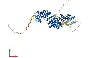 AlphaFold protein structure predicition of Human Recombinant BBS4 Protein, UniprotID Q96RK4