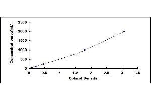 Typical standard curve (Kallikrein 5 Kit ELISA)