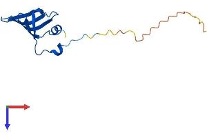 AlphaFold protein structure predicition of Mouse Recombinant Snrpd1 Protein, UniprotID P62315