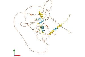 AlphaFold protein structure predicition of Human Recombinant SP9 Protein, UniprotID P0CG40