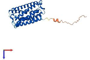 AlphaFold protein structure predicition of Mouse Recombinant Elovl2 Protein, UniprotID Q9JLJ4