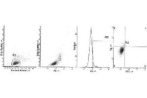 Image no. 1 for anti-Interleukin 4 (IL4) antibody (PE) (ABIN1107850) (IL-4 anticorps  (PE))