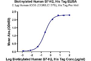 Immobilized Human ICOS (C136S,C137S) , His Tag at 1 μg/mL (100 μL/Well) on the plate.