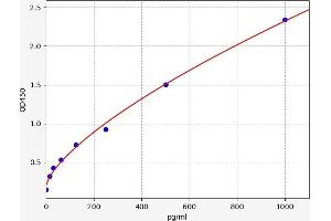 Defensin, alpha 5, Paneth Cell-Specific (DEFA5) ELISA Kit