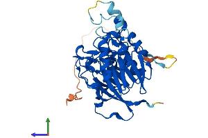 AlphaFold protein structure predicition of Mouse Recombinant Mpped1 Protein, UniprotID Q91ZG2