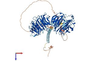 AlphaFold protein structure predicition of Mouse Recombinant Eml1 Protein, UniprotID Q05BC3