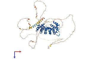 AlphaFold protein structure predicition of Human Recombinant ARMCX2 Protein, UniprotID Q7L311