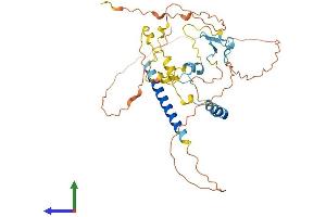 AlphaFold protein structure predicition of Mouse Recombinant Miip Protein, UniprotID A2A7Y5