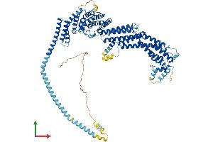 AlphaFold protein structure predicition of Human Recombinant RINT1 Protein, UniprotID Q6NUQ1