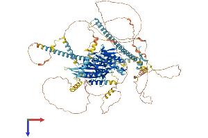 AlphaFold protein structure predicition of Mouse Recombinant Kif17 Protein, UniprotID Q99PW8