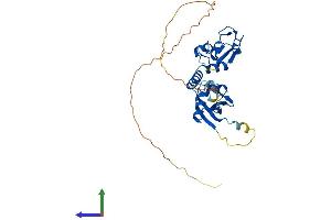 AlphaFold protein structure predicition of Mouse Recombinant Bmi1 Protein, UniprotID P25916