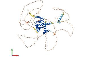AlphaFold protein structure predicition of Mouse Recombinant Dcp1a Protein, UniprotID Q91YD3