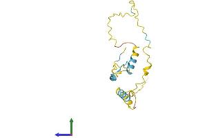 AlphaFold protein structure predicition of Mouse Recombinant Fam219a Protein, UniprotID Q9D772