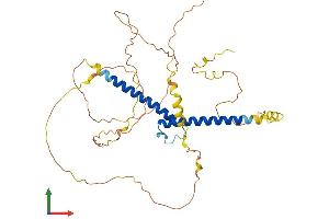 AlphaFold protein structure predicition of Human Recombinant BHLHE22 Protein, UniprotID Q8NFJ8
