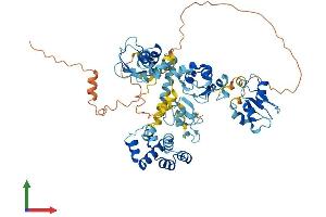 AlphaFold protein structure predicition of Mouse Recombinant Birc2 Protein, UniprotID Q62210