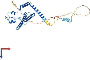 AlphaFold protein structure predicition of Mouse Recombinant Med8 Protein, UniprotID Q9D7W5