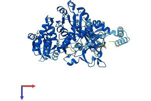 Fatty Acid Transport Protein 1 (FATP1) (AA 1-646) protein (His tag)