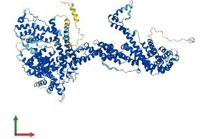 AlphaFold protein structure predicition of Mouse Recombinant Cyfip1 Protein, UniprotID Q7TMB8