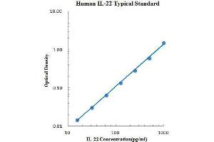 ELISA image for Interleukin 22 (IL22) ELISA Kit (ABIN2472118)