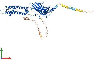 AlphaFold protein structure predicition of Human Recombinant KCNJ6 Protein, UniprotID P48051