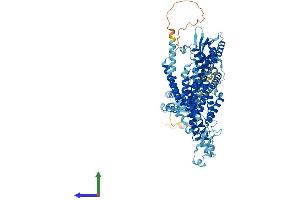 AlphaFold protein structure predicition of Human Recombinant ATP6V0A1 Protein, UniprotID Q93050